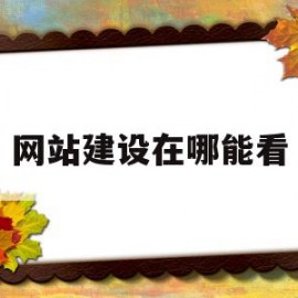 网站建设在哪能看(网站建立时间怎么查)