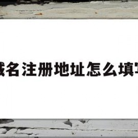 域名注册地址怎么填写(域名注册人地址信息真么填)