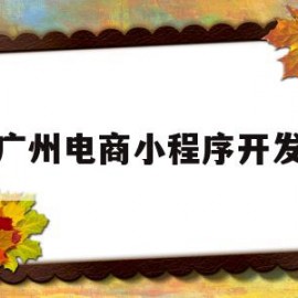 广州电商小程序开发(广州小程序开发公司排行榜)