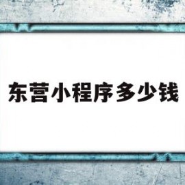 东营小程序多少钱(小程序平台收费标准)