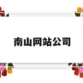 南山网站公司(南山网站公司电话)