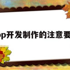 app开发制作的注意要点(app开发制作的注意要点有哪些)