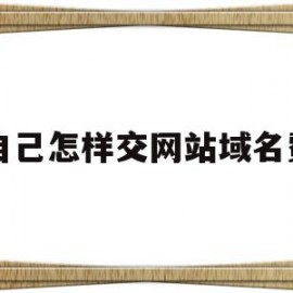 自己怎样交网站域名费(自己怎样交网站域名费呢)