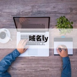 域名ly(域名ltd)