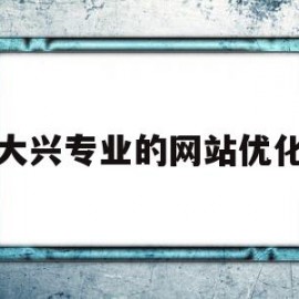 大兴专业的网站优化(网站优化属于什么专业)