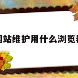 网站维护用什么浏览器(网站维护一般都是维护什么)