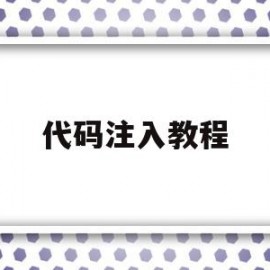 代码注入教程(代码注入器使用教程)