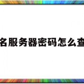 包含域名服务器密码怎么查看的词条