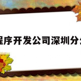 小程序开发公司深圳分公司(小程序开发公司深圳分公司招聘)