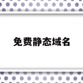 免费静态域名(静态域名服务器是什么)