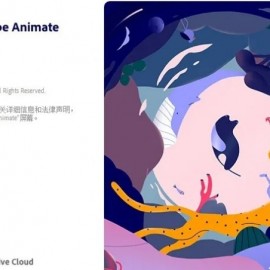 Adobe Animate 2022(动画制作软件)v22.0.5.191免激活版