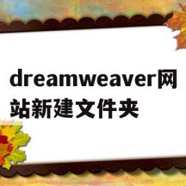 dreamweaver网站新建文件夹(dreamweaver新建网页文件快捷键)