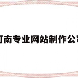 河南专业网站制作公司(河南网站建设哪家公司好)