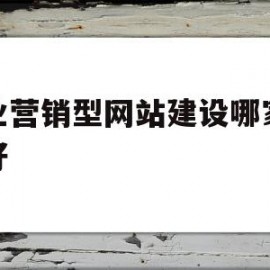 企业营销型网站建设哪家公司好(企业营销型网站建设哪家公司好一点)