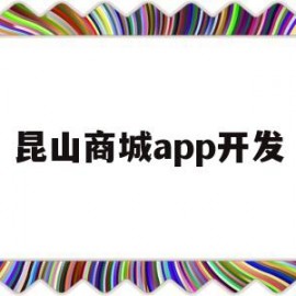 昆山商城app开发(昆山商厦网购平台)