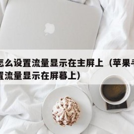 苹果怎么设置流量显示在主屏上（苹果手机如何设置流量显示在屏幕上）