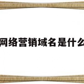 网络营销域名是什么(网络营销域名是什么意思)