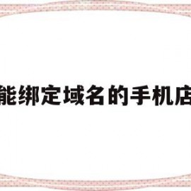 包含能绑定域名的手机店的词条