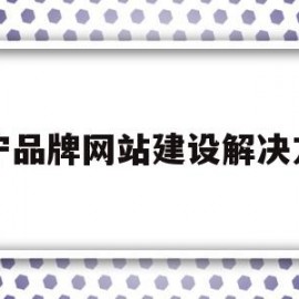 南宁品牌网站建设解决方案(广西南宁品牌)