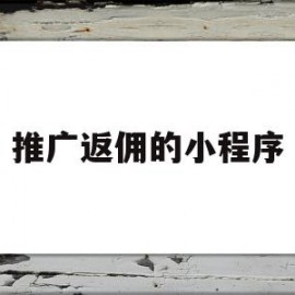 推广返佣的小程序(推广返佣金的平台有哪些)