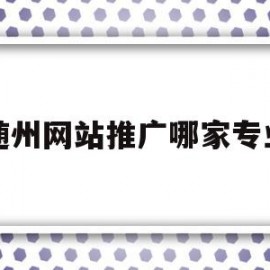 随州网站推广哪家专业(随州网站推广哪家专业公司好)