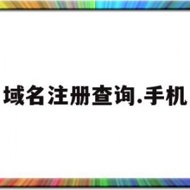 域名注册查询.手机(域名注册服务网站查询)
