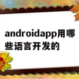 androidapp用哪些语言开发的的简单介绍