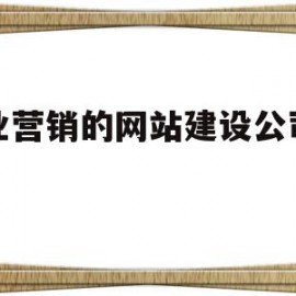 专业营销的网站建设公司排名(专业营销的网站建设公司排名有哪些)