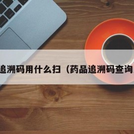 药品追溯码用什么扫（药品追溯码查询系统）
