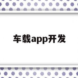 车载app开发(车载系统app开发)