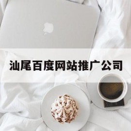 汕尾百度网站推广公司(汕头百度seo代理)