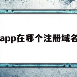 app在哪个注册域名(app在哪个注册域名最好)