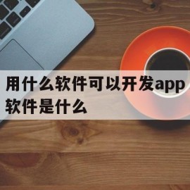 用什么软件可以开发app软件是什么(什么软件开发最赚钱)