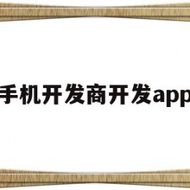 手机开发商开发app(手机软件开发商怎么挣钱)