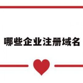 哪些企业注册域名(企业注册域名需要什么资料)