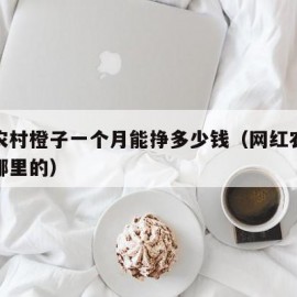 网红农村橙子一个月能挣多少钱（网红农村橙子是哪里的）