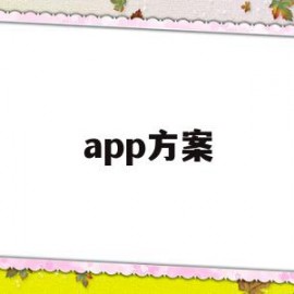 app方案(app方案 ppt)