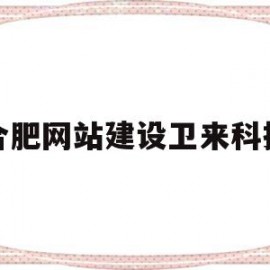 合肥网站建设卫来科技(合肥卫生健康职业技术学院)