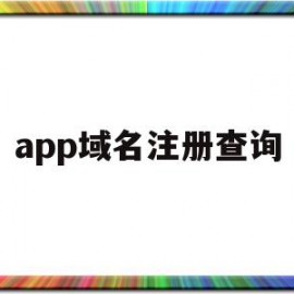 app域名注册查询(域名注册信息查询whois)