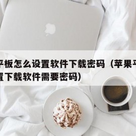苹果平板怎么设置软件下载密码（苹果平板怎么设置下载软件需要密码）