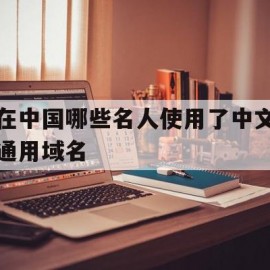 在中国哪些名人使用了中文通用域名的简单介绍