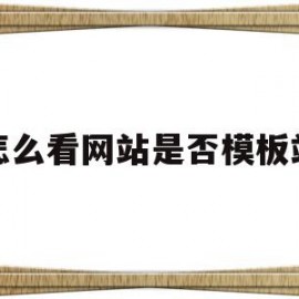 怎么看网站是否模板站(怎么看网站是静态还是动态)
