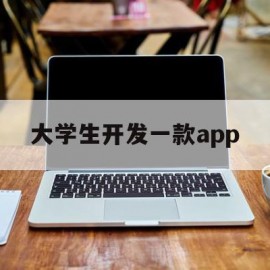 大学生开发一款app(大学生开发一款app过审程序)