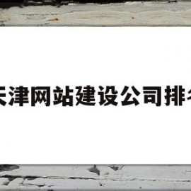天津网站建设公司排名(天津网站建设公司哪家好)