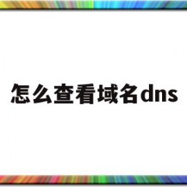 怎么查看域名dns(怎么查看域名名称)