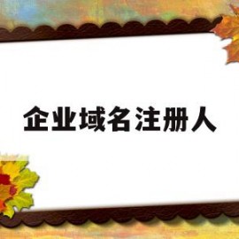 企业域名注册人(企业域名注册人是什么)