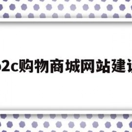 b2c购物商城网站建设(b2c网站建设平台)