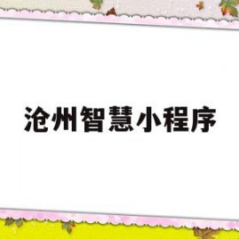 沧州智慧小程序(沧州智慧小程序app)