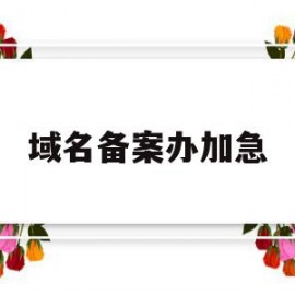 域名备案办加急(域名备案审核速度加快)