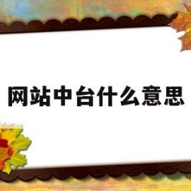 网站中台什么意思(平台中台是什么意思)